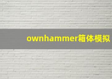 ownhammer箱体模拟