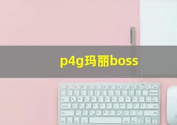 p4g玛丽boss