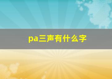 pa三声有什么字