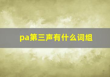 pa第三声有什么词组