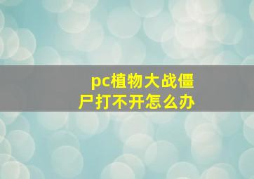 pc植物大战僵尸打不开怎么办