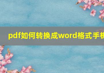 pdf如何转换成word格式手机