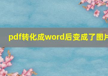 pdf转化成word后变成了图片