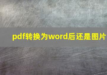 pdf转换为word后还是图片