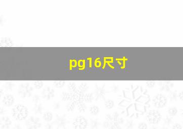 pg16尺寸