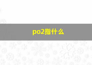 po2指什么