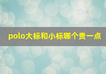 polo大标和小标哪个贵一点