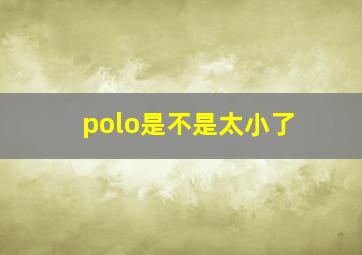 polo是不是太小了