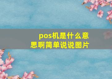 pos机是什么意思啊简单说说图片