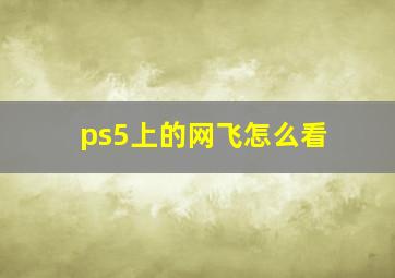 ps5上的网飞怎么看