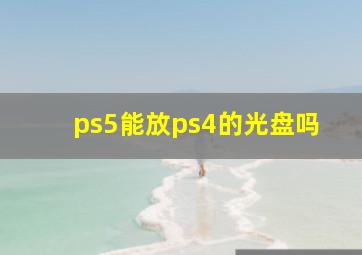 ps5能放ps4的光盘吗