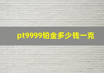 pt9999铂金多少钱一克