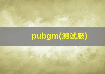 pubgm(测试服)