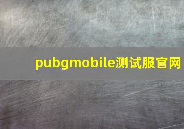 pubgmobile测试服官网