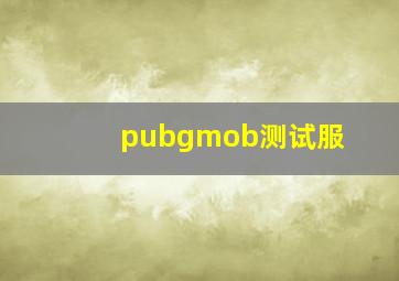 pubgmob测试服