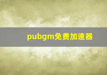 pubgm免费加速器