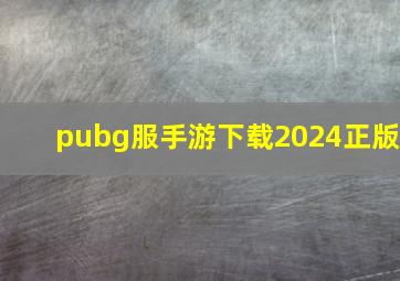 pubg服手游下载2024正版