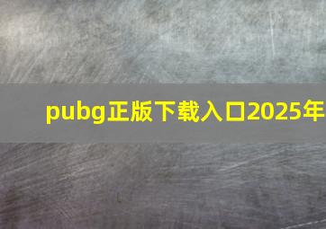 pubg正版下载入口2025年