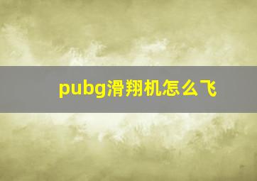 pubg滑翔机怎么飞