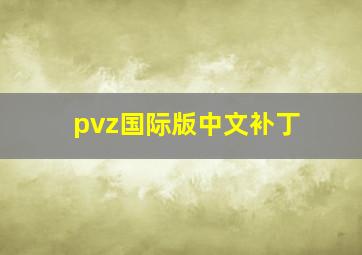 pvz国际版中文补丁