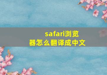 safari浏览器怎么翻译成中文