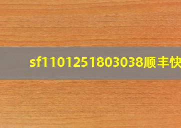 sf1101251803038顺丰快递