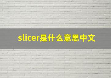 slicer是什么意思中文