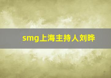 smg上海主持人刘晔