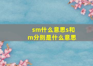 sm什么意思s和m分别是什么意思