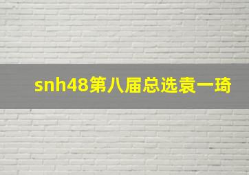 snh48第八届总选袁一琦