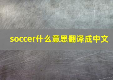 soccer什么意思翻译成中文