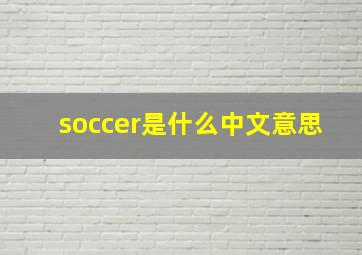 soccer是什么中文意思