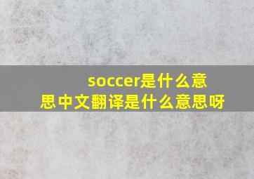 soccer是什么意思中文翻译是什么意思呀