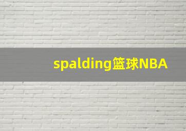 spalding篮球NBA