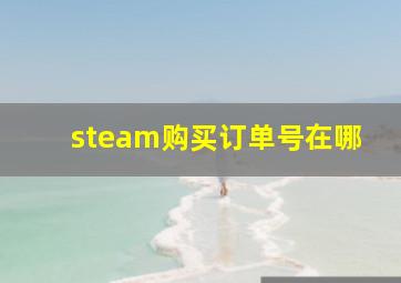 steam购买订单号在哪