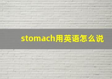 stomach用英语怎么说