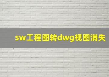 sw工程图转dwg视图消失