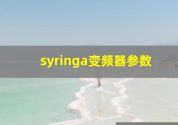 syringa变频器参数