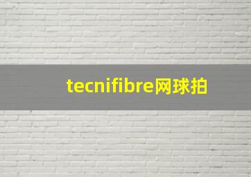 tecnifibre网球拍