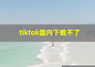 tiktok国内下载不了