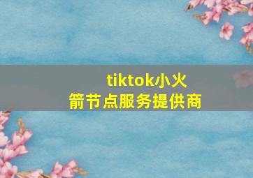 tiktok小火箭节点服务提供商