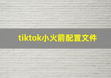 tiktok小火箭配置文件