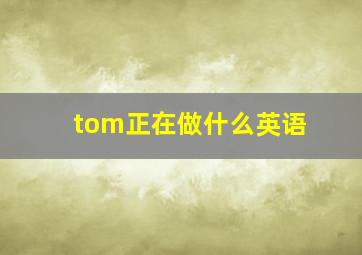 tom正在做什么英语