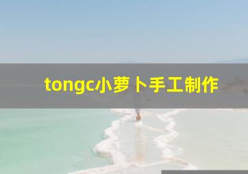 tongc小萝卜手工制作