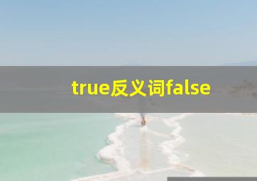 true反义词false