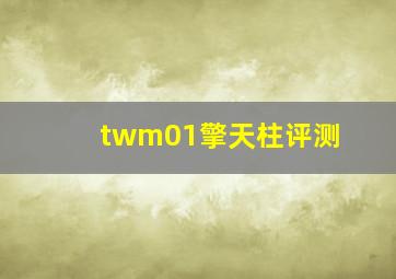 twm01擎天柱评测