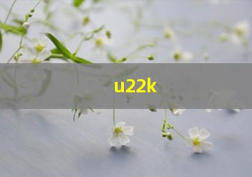 u22k