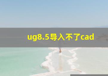 ug8.5导入不了cad