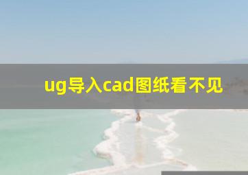 ug导入cad图纸看不见