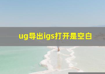 ug导出igs打开是空白